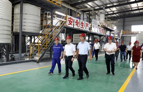 湖南永澤冶金與永晟福科技新廠竣工投產(chǎn)，并深化教育咨詢服務(wù)，開啟產(chǎn)業(yè)與人才協(xié)同發(fā)展新篇章